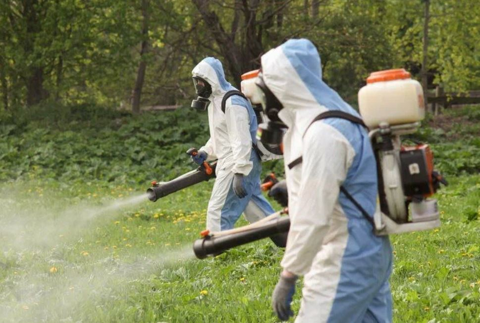 ФОТО Уничтожение клопов в Первомайском