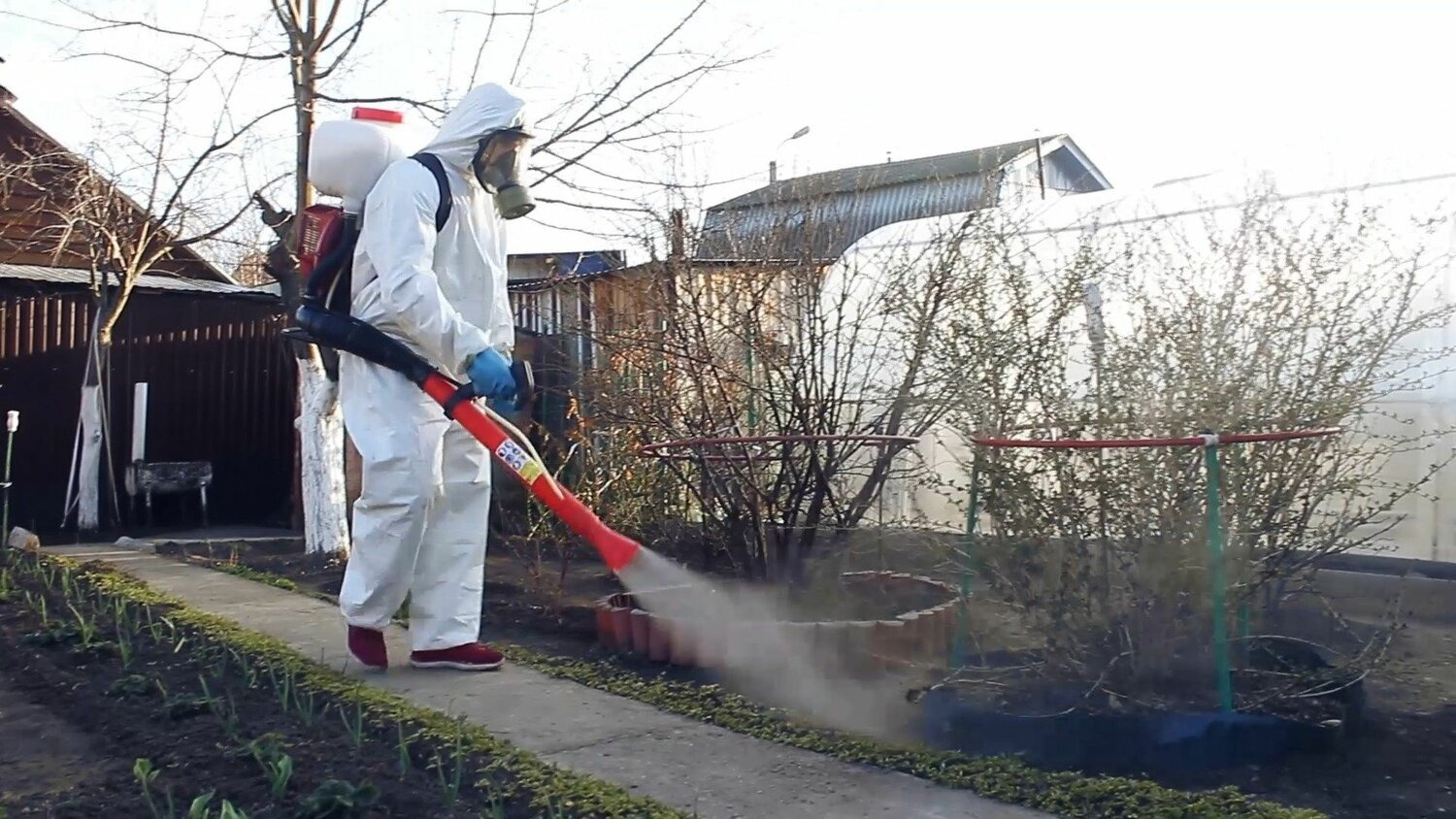 ФОТО Уничтожение муравьёв в Первомайском