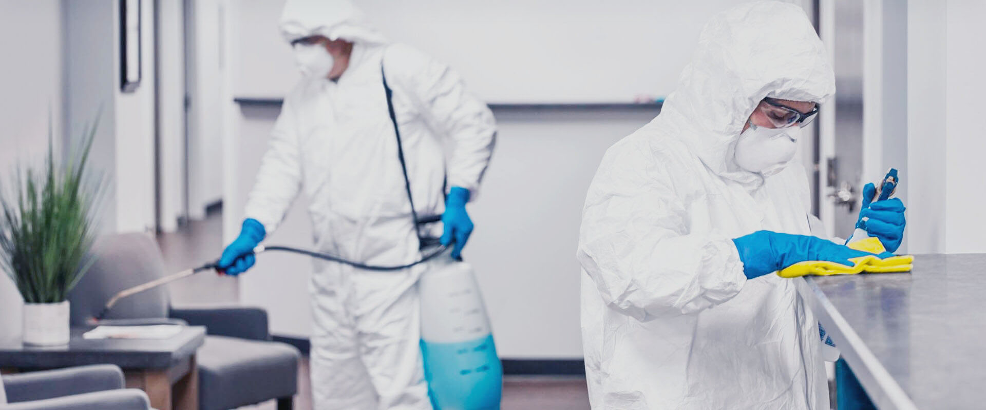 ФОТО В чем разница между дезинфекцией и дезинсекцией в Первомайском? | подробно