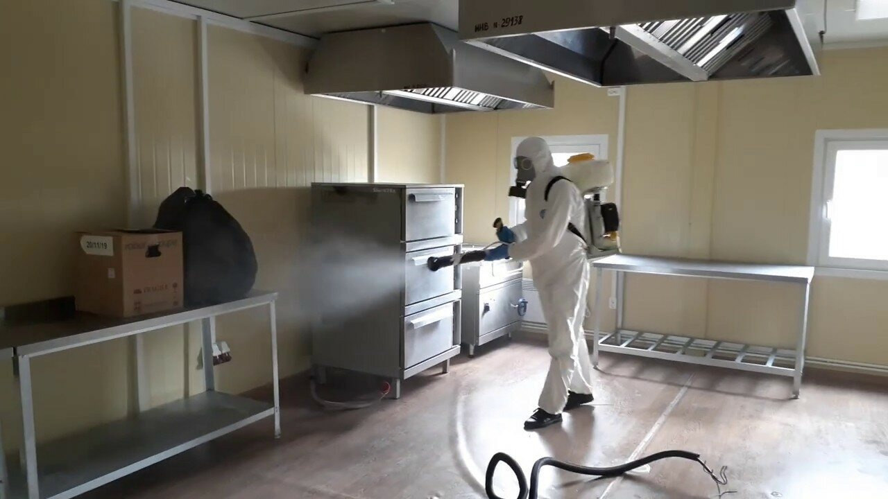 ФОТО Можно ли провести дезинсекцию самостоятельно и какие существуют риски в Первомайском? | подробно