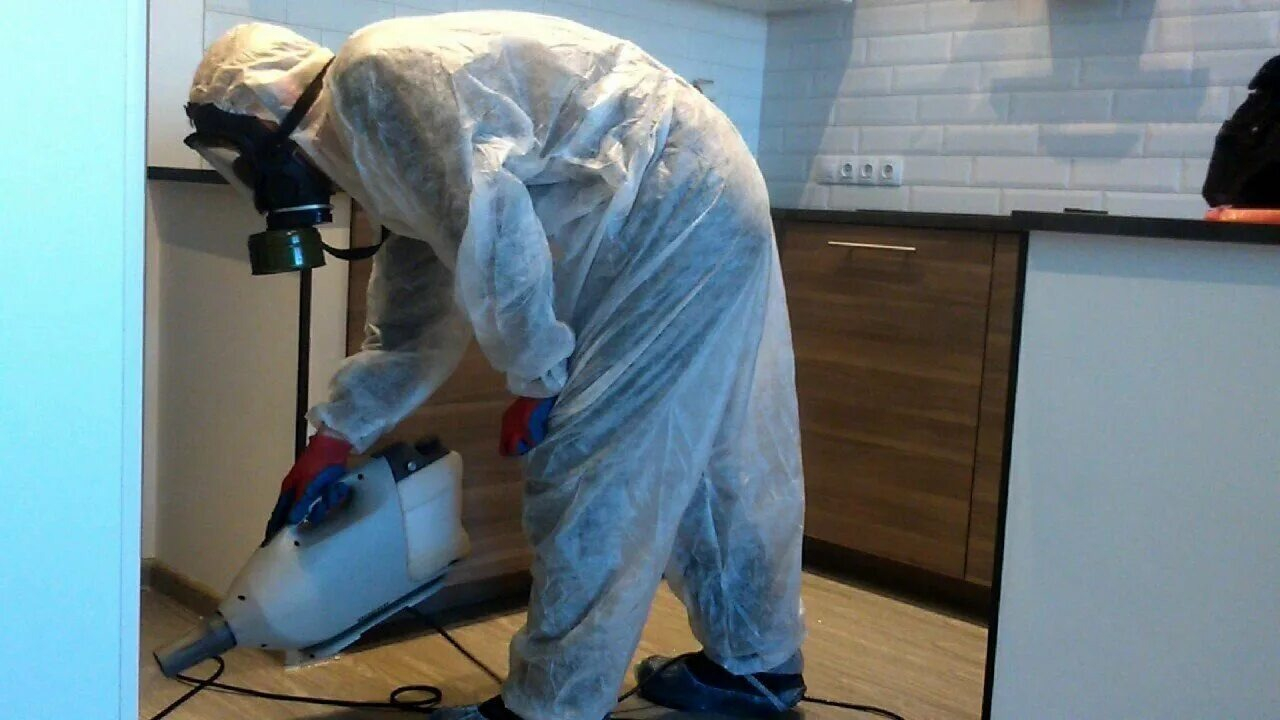 ФОТО Как подготовить домашних животных к обработке от насекомых в Первомайском? | подробно