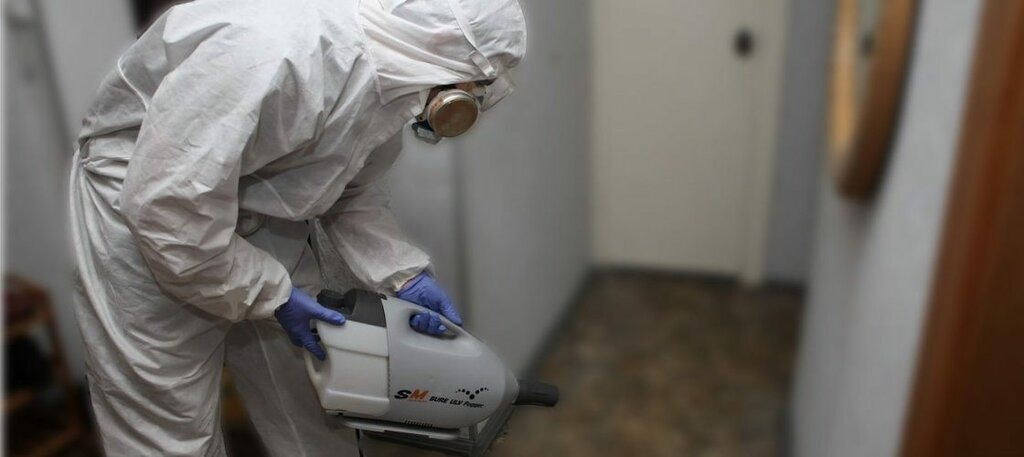 ФОТО Остаются ли следы после обработки квартиры от насекомых в Первомайском? | подробно