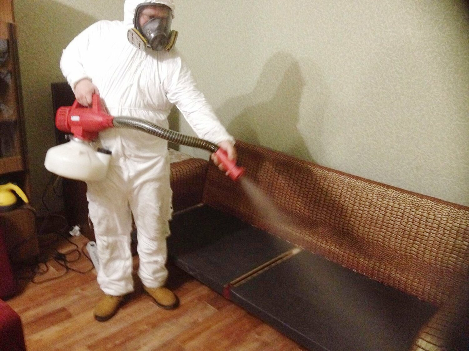 ФОТО Когда можно вернуться в помещение после дезинсекции в Первомайском? | подробно